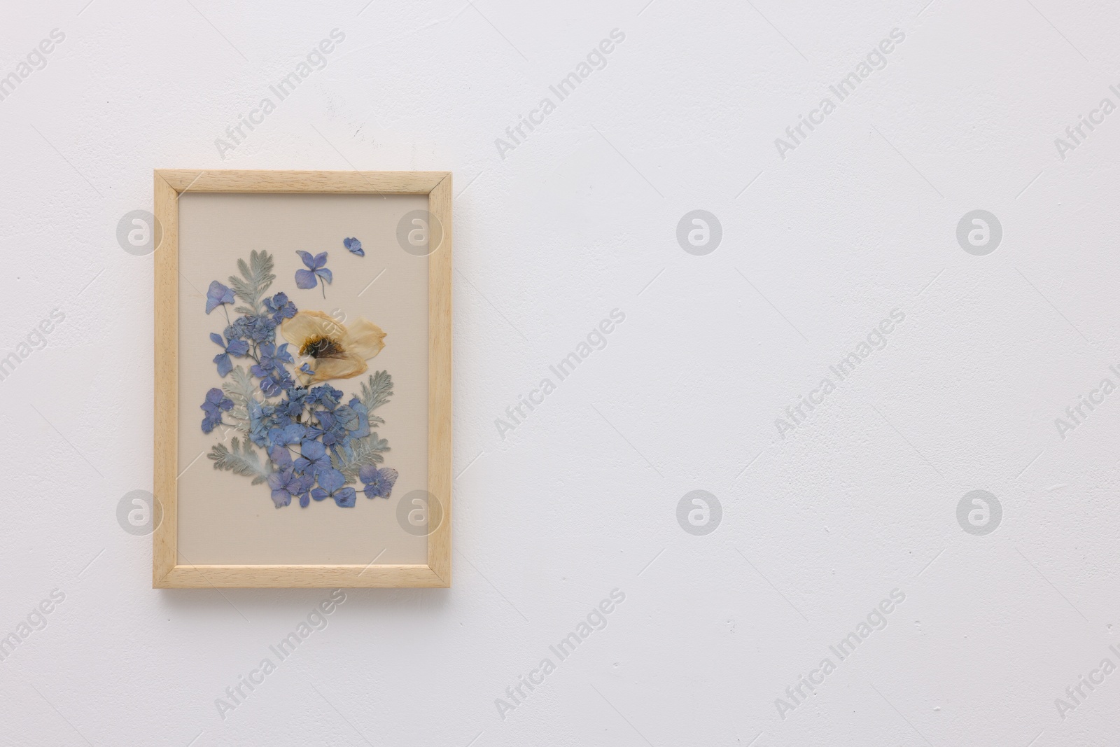 Beautiful dry flowers and leaves in picture frame on white wall, space for text Photo of Beautiful dry flowers and leaves in picture frame on white wall, space for text