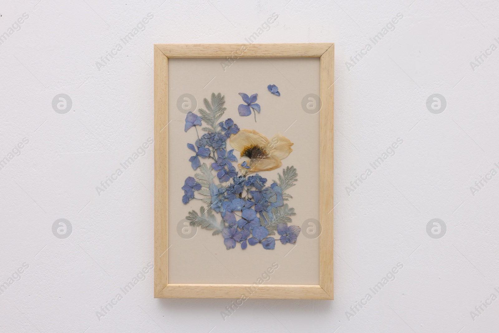 Beautiful dry flowers and leaves in picture frame on white wall Photo of Beautiful dry flowers and leaves in picture frame on white wall