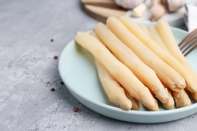 Photo of Pickled asparagus and spices on grey table, closeup