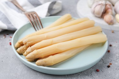 Photo of Pickled asparagus and spices on grey table, closeup