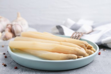 Photo of Pickled asparagus and spices on grey table, closeup