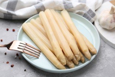 Photo of Pickled asparagus and spices on grey table, closeup