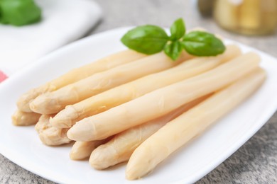 Photo of Pickled asparagus spears with basil on grey table, closeup