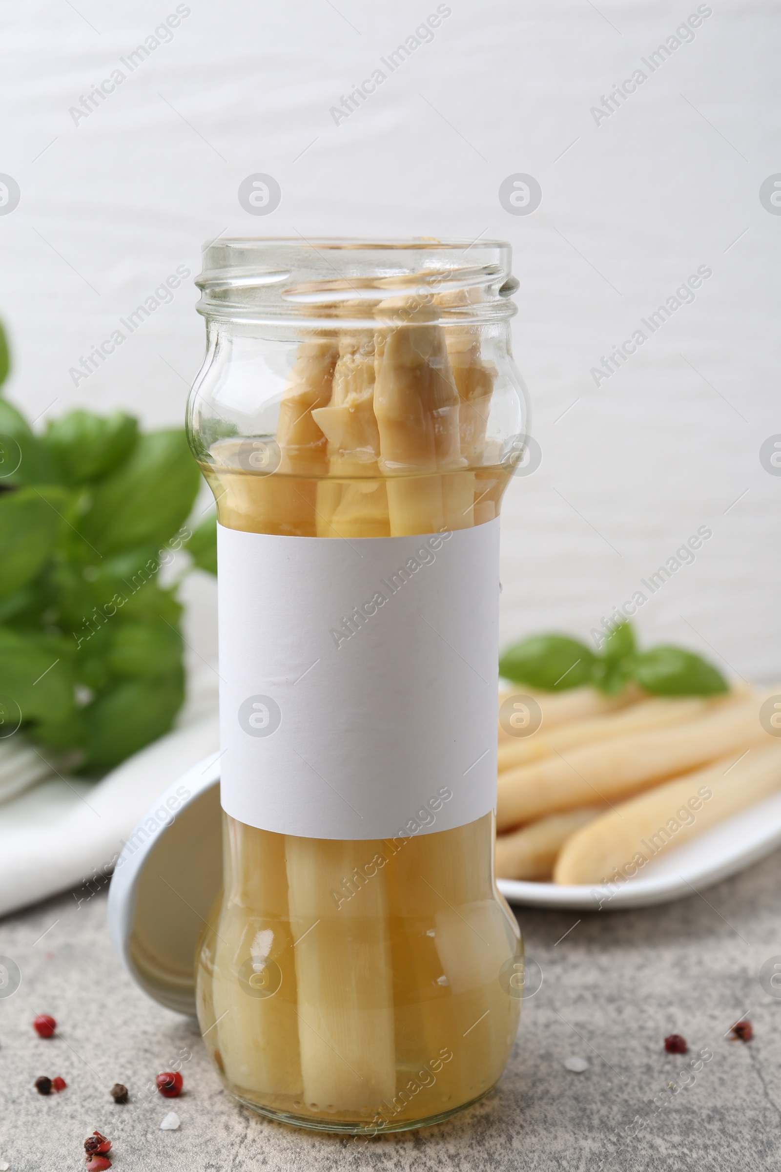 Pickled asparagus, spices and basil on light grey table, closeup Photo of Pickled asparagus, spices and basil on light grey table, closeup