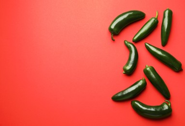 Photo of Green jalapeno peppers on red background, flat lay. Space for text