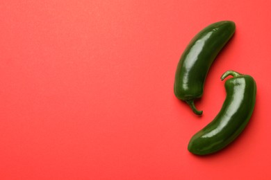 Photo of Green jalapeno peppers on red background, flat lay. Space for text
