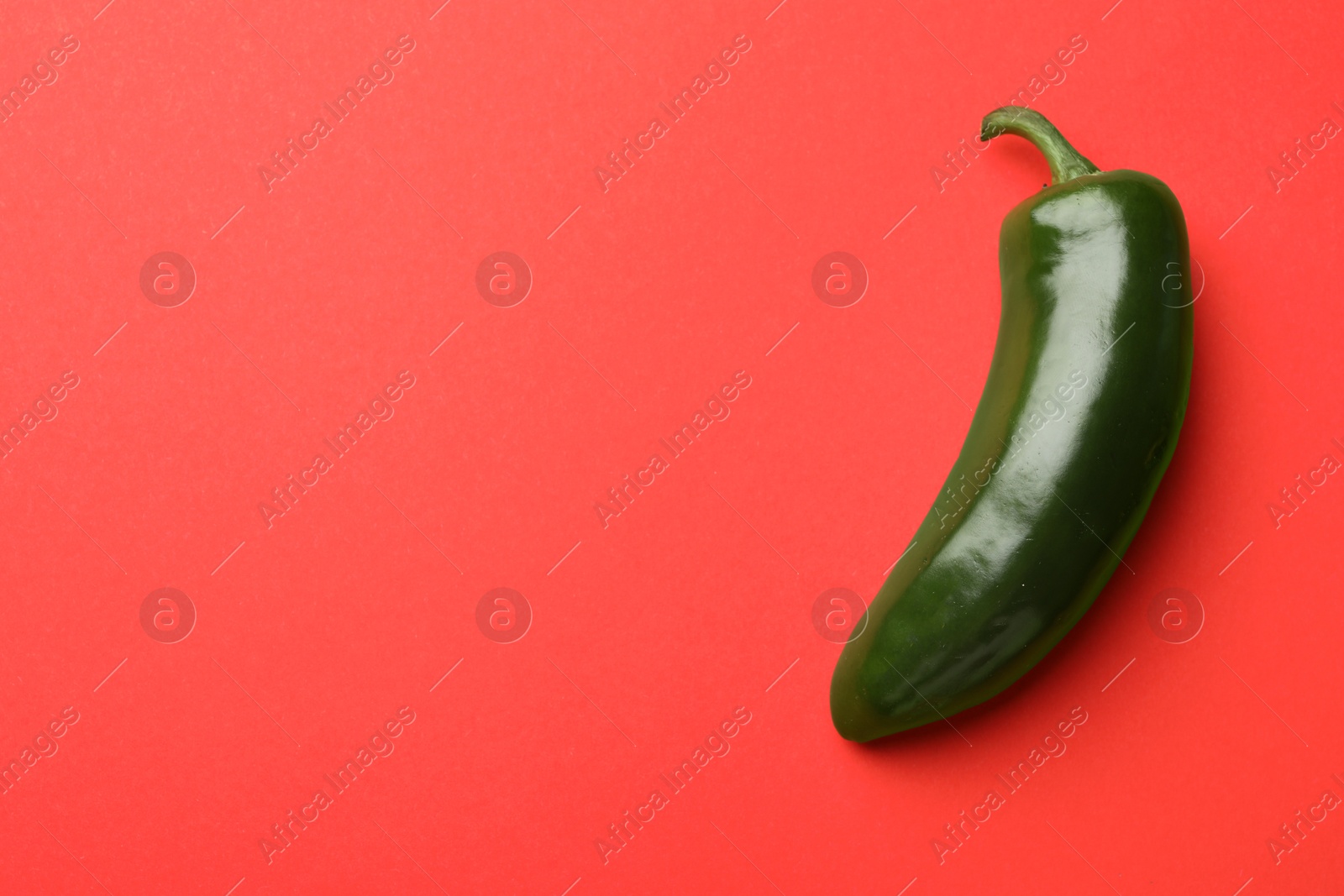 Photo of Green jalapeno pepper on red background, top view. Space for text