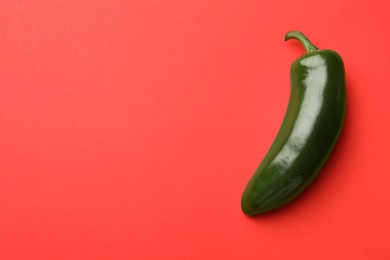 Photo of Green jalapeno pepper on red background, top view. Space for text