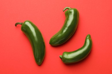 Photo of Green jalapeno peppers on red background, flat lay