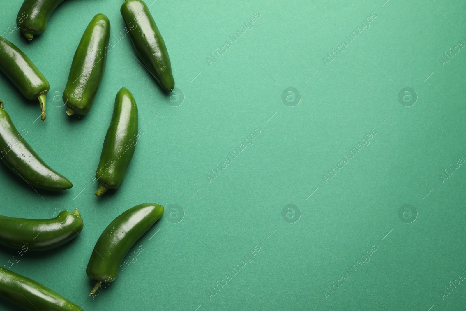 Ripe jalapeno peppers on green background, flat lay. Space for text Photo of Ripe jalapeno peppers on green background, flat lay. Space for text