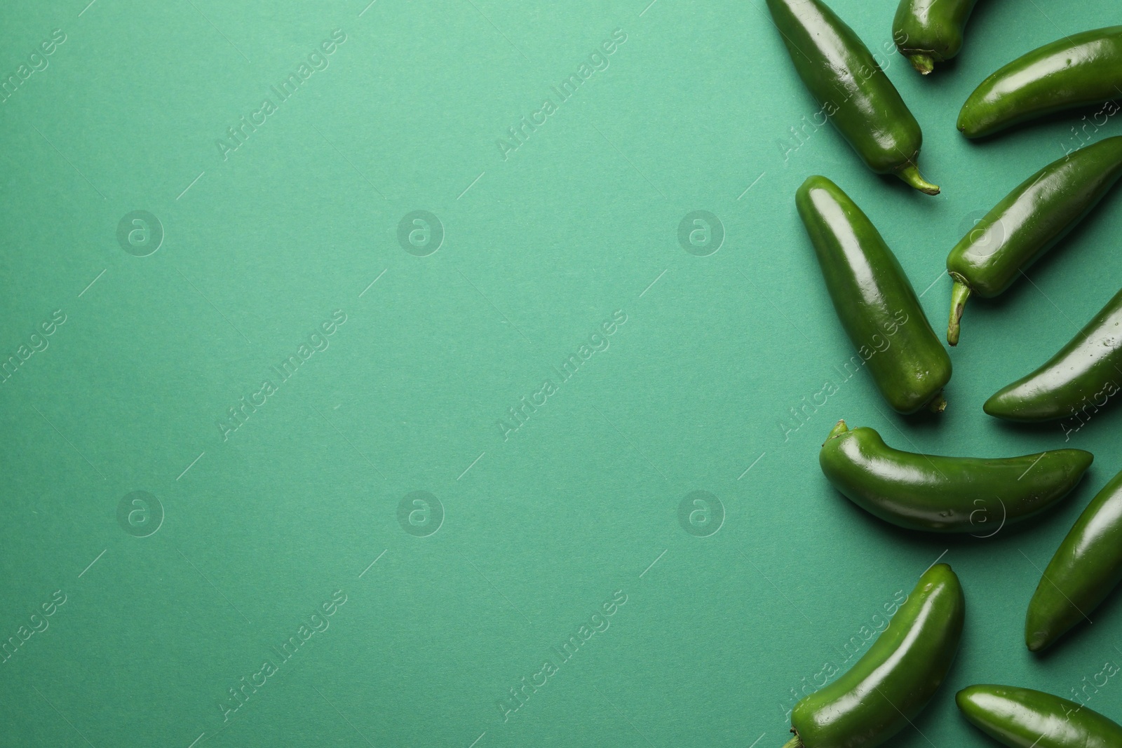 Ripe jalapeno peppers on green background, flat lay. Space for text Photo of Ripe jalapeno peppers on green background, flat lay. Space for text