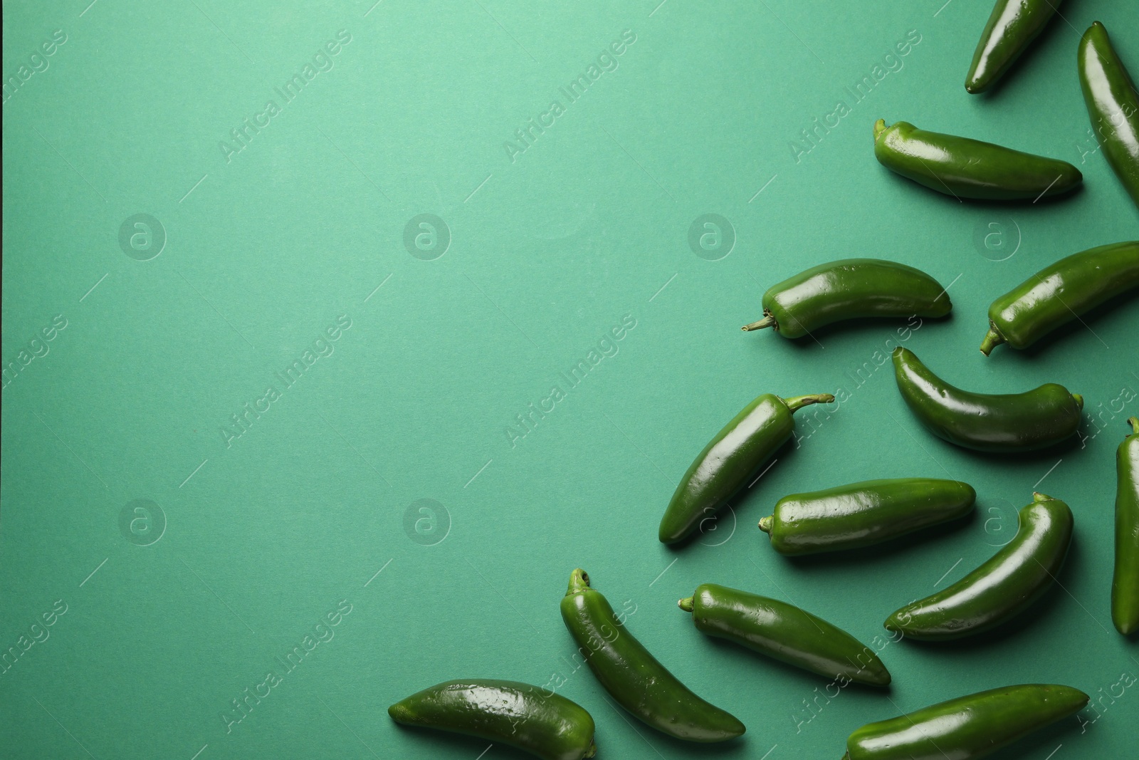 Ripe jalapeno peppers on green background, flat lay. Space for text Photo of Ripe jalapeno peppers on green background, flat lay. Space for text