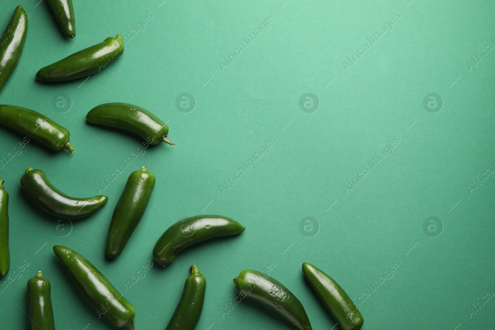 Photo of Ripe jalapeno peppers on green background, flat lay. Space for text