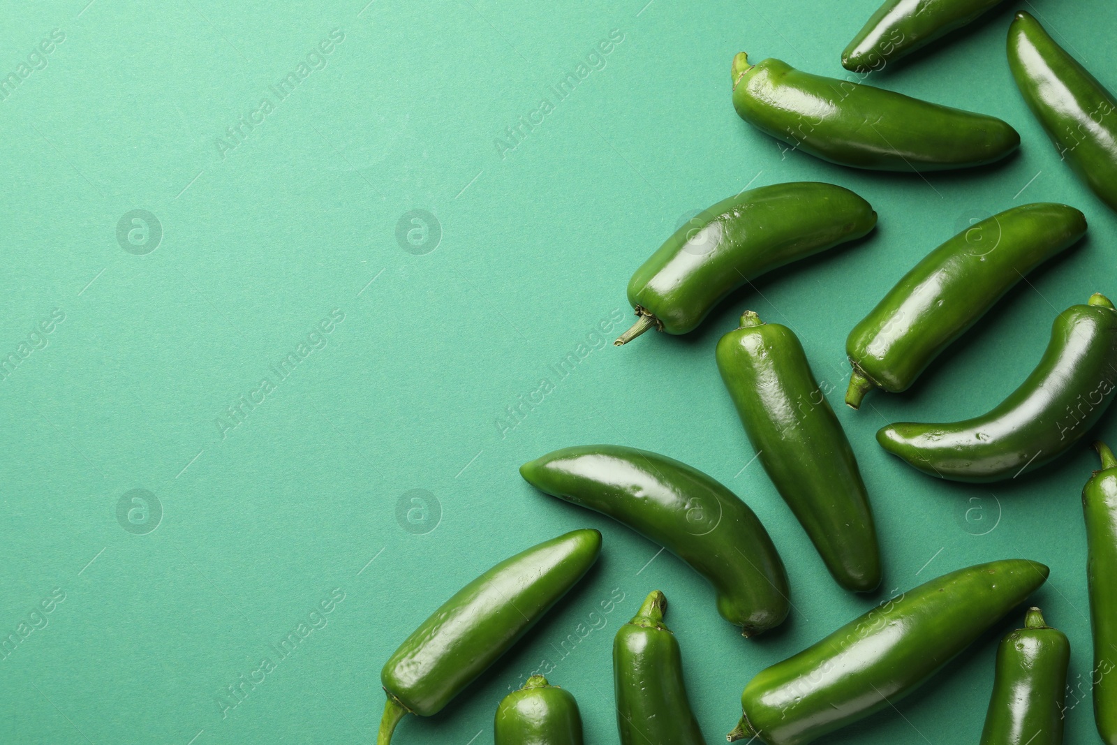 Ripe jalapeno peppers on green background, flat lay. Space for text Photo of Ripe jalapeno peppers on green background, flat lay. Space for text