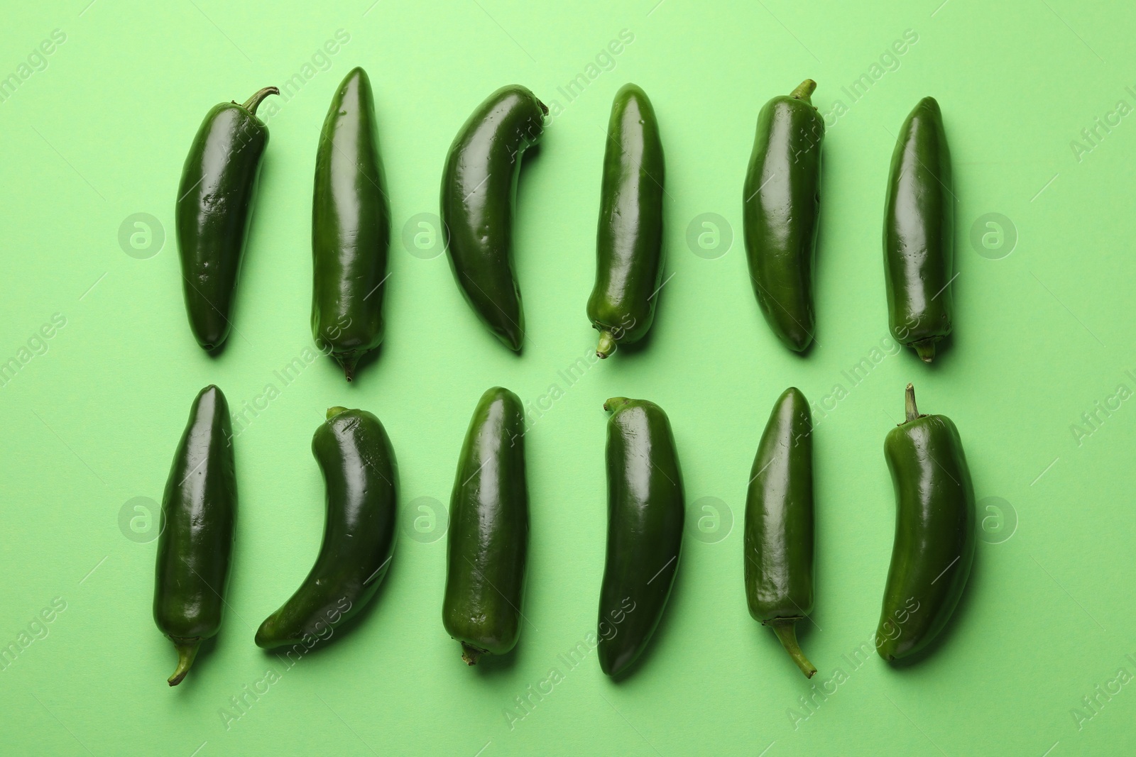 Ripe jalapeno peppers on light green background, flat lay Photo of Ripe jalapeno peppers on light green background, flat lay