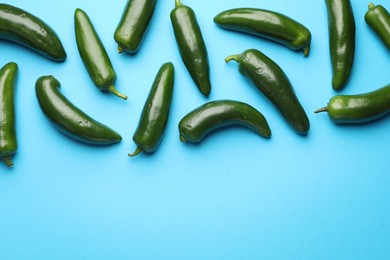 Photo of Green jalapeno peppers on light blue background, flat lay. Space for text