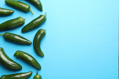 Photo of Green jalapeno peppers on light blue background, flat lay. Space for text