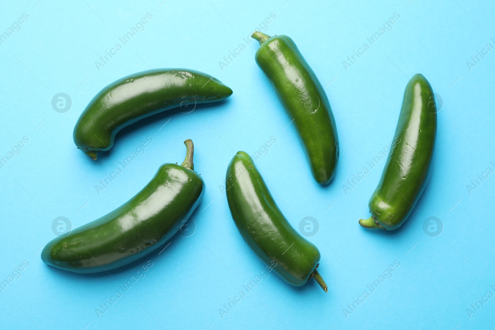 Photo of Green jalapeno peppers on light blue background, flat lay