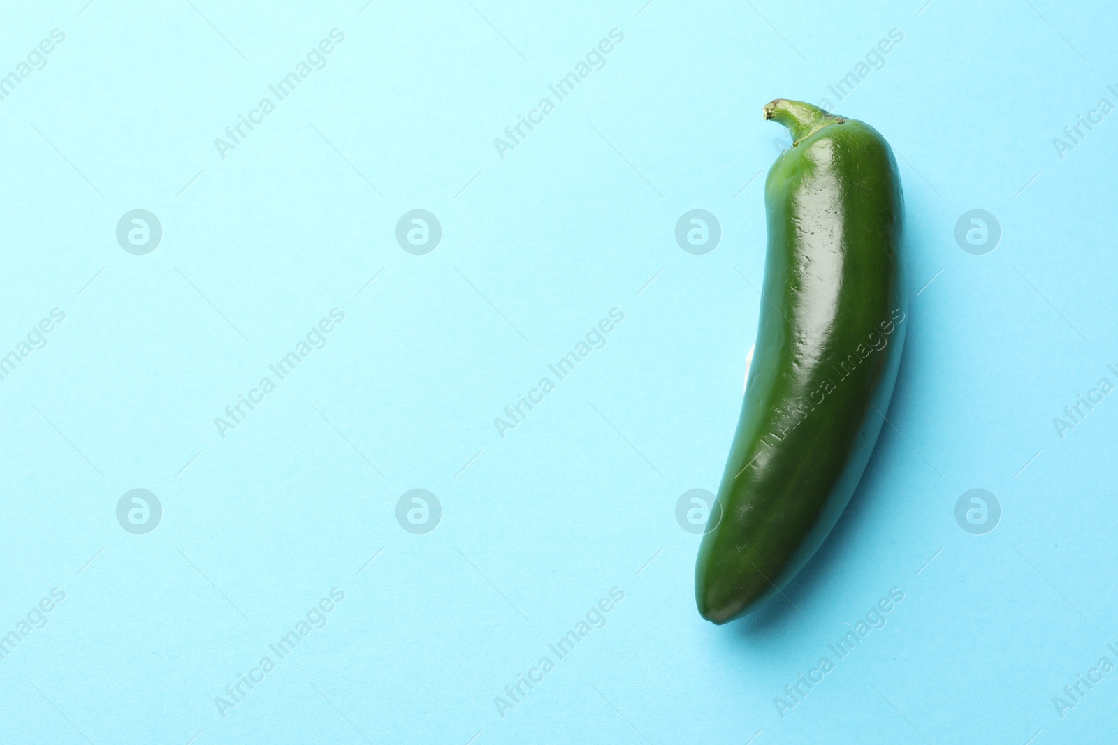 Photo of Green jalapeno pepper on light blue background, top view. Space for text