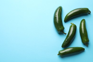 Photo of Green jalapeno peppers on light blue background, flat lay. Space for text
