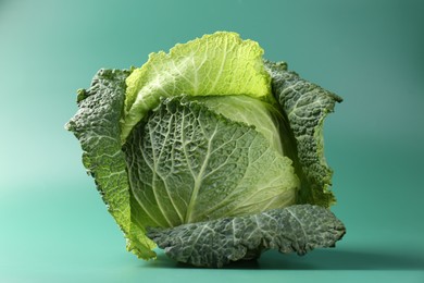 Photo of One fresh Savoy cabbage on teal background, closeup