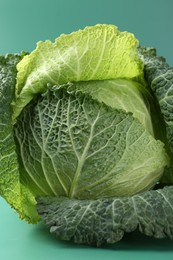 Photo of One fresh Savoy cabbage on teal background, closeup