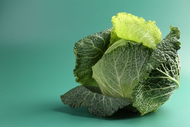 Photo of One fresh Savoy cabbage on teal background, closeup. Space for text