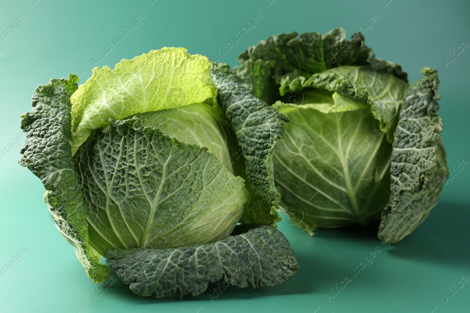 Photo of Fresh Savoy cabbages on teal background, closeup