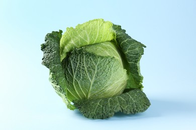 Photo of One fresh Savoy cabbage on light blue background