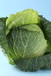 Photo of One fresh Savoy cabbage on light blue background, closeup