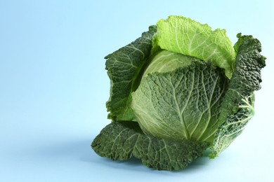 Photo of One fresh Savoy cabbage on light blue background