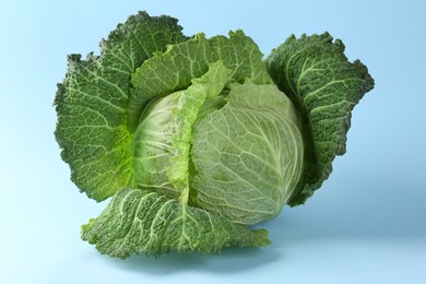 Photo of One fresh Savoy cabbage on light blue background, closeup