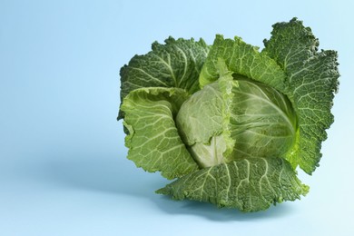 Photo of One fresh Savoy cabbage on light blue background