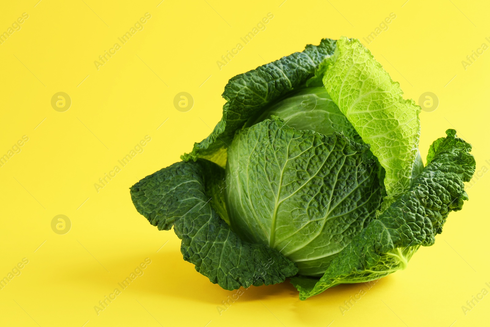 Photo of One fresh Savoy cabbage on yellow background, closeup. Space for text
