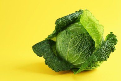 Photo of One fresh Savoy cabbage on yellow background, closeup. Space for text
