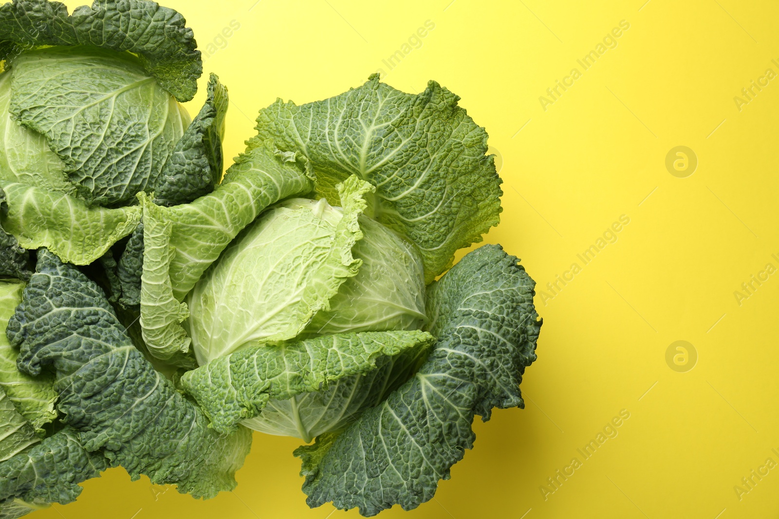 Photo of Fresh Savoy cabbages on yellow background, flat lay. Space for text