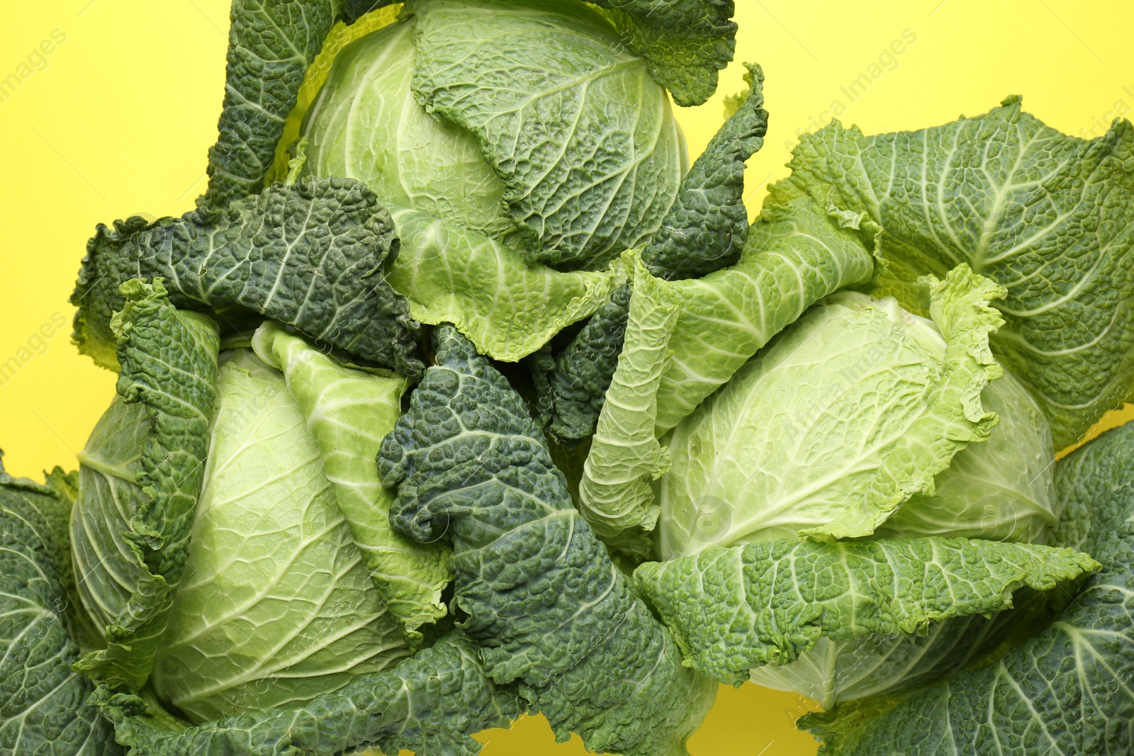Photo of Fresh Savoy cabbages on yellow background, flat lay