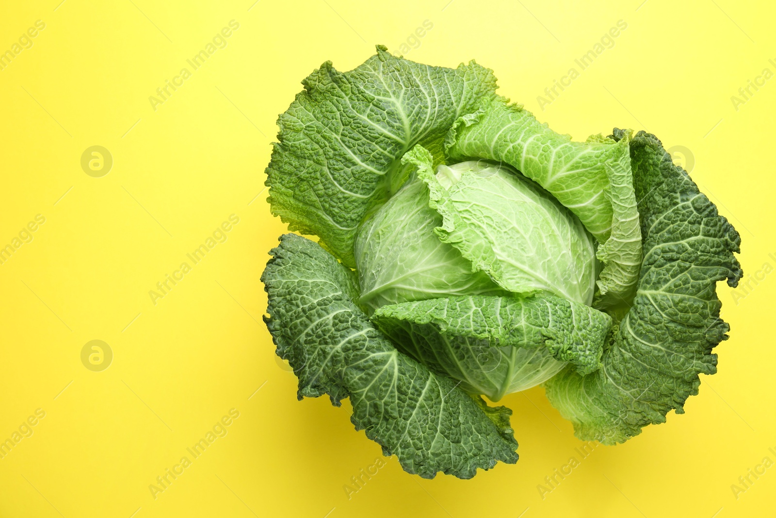 Photo of One fresh Savoy cabbage on yellow background, top view. Space for text