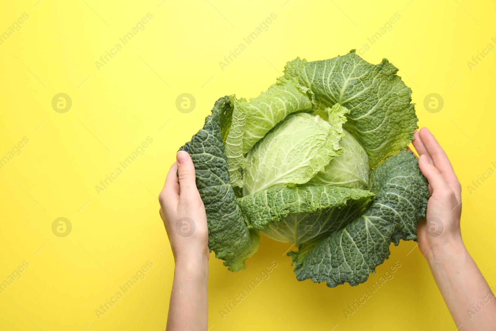 Photo of Woman with fresh Savoy cabbage on yellow background, top view. Space for text