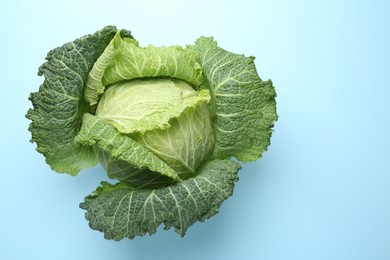Photo of One fresh Savoy cabbage on light blue background, top view. Space for text