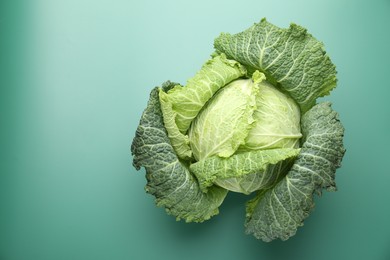 Photo of One fresh Savoy cabbage on green background, top view. Space for text