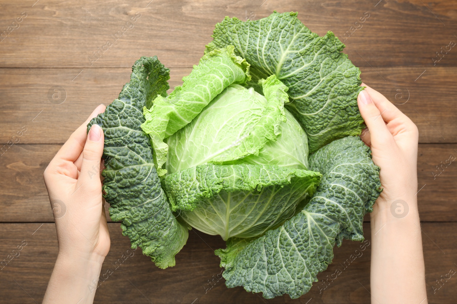Photo of Woman with fresh Savoy cabbage at wooden table, top view