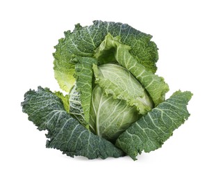 Photo of One fresh Savoy cabbage isolated on white