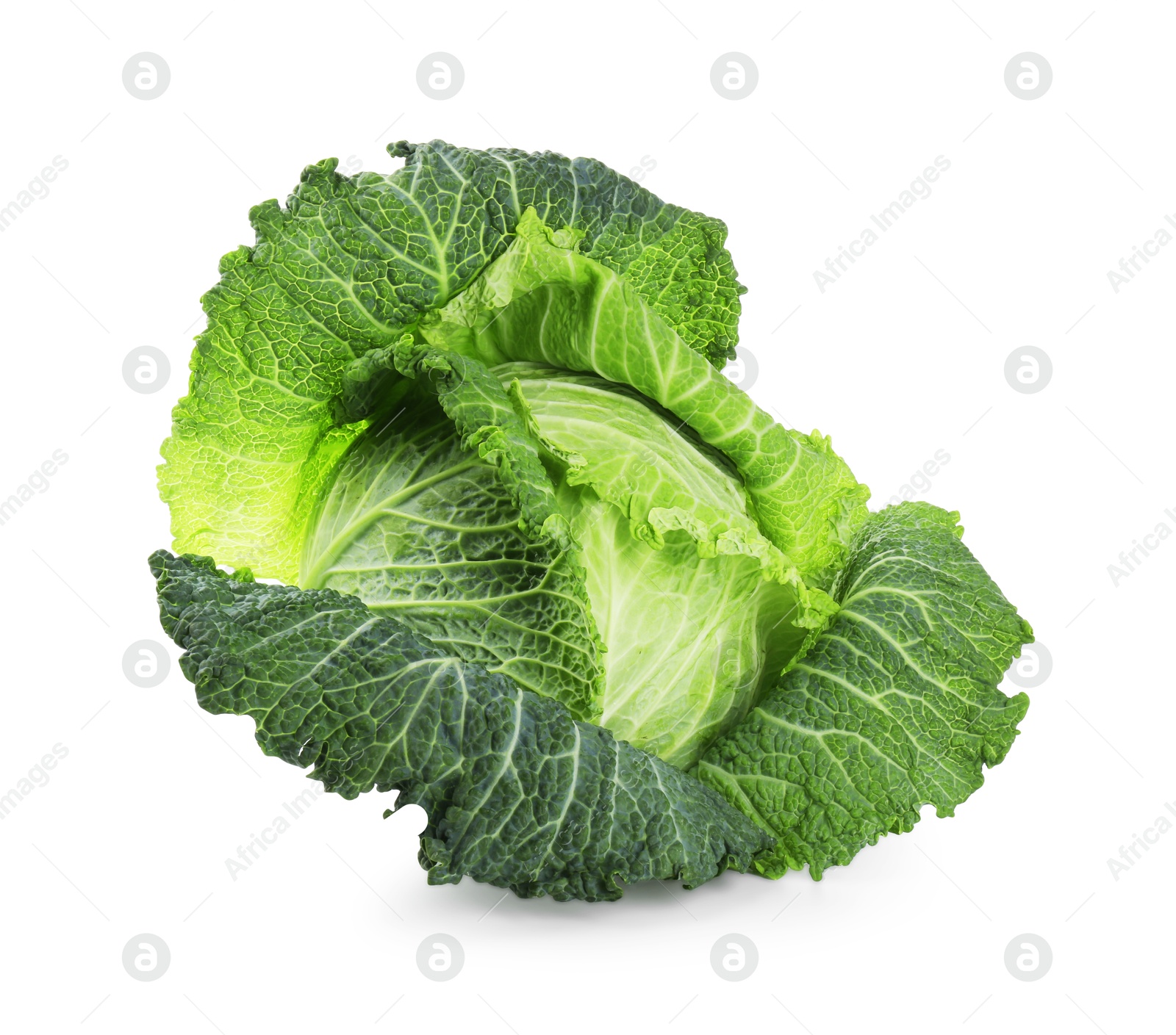 Photo of One fresh Savoy cabbage isolated on white