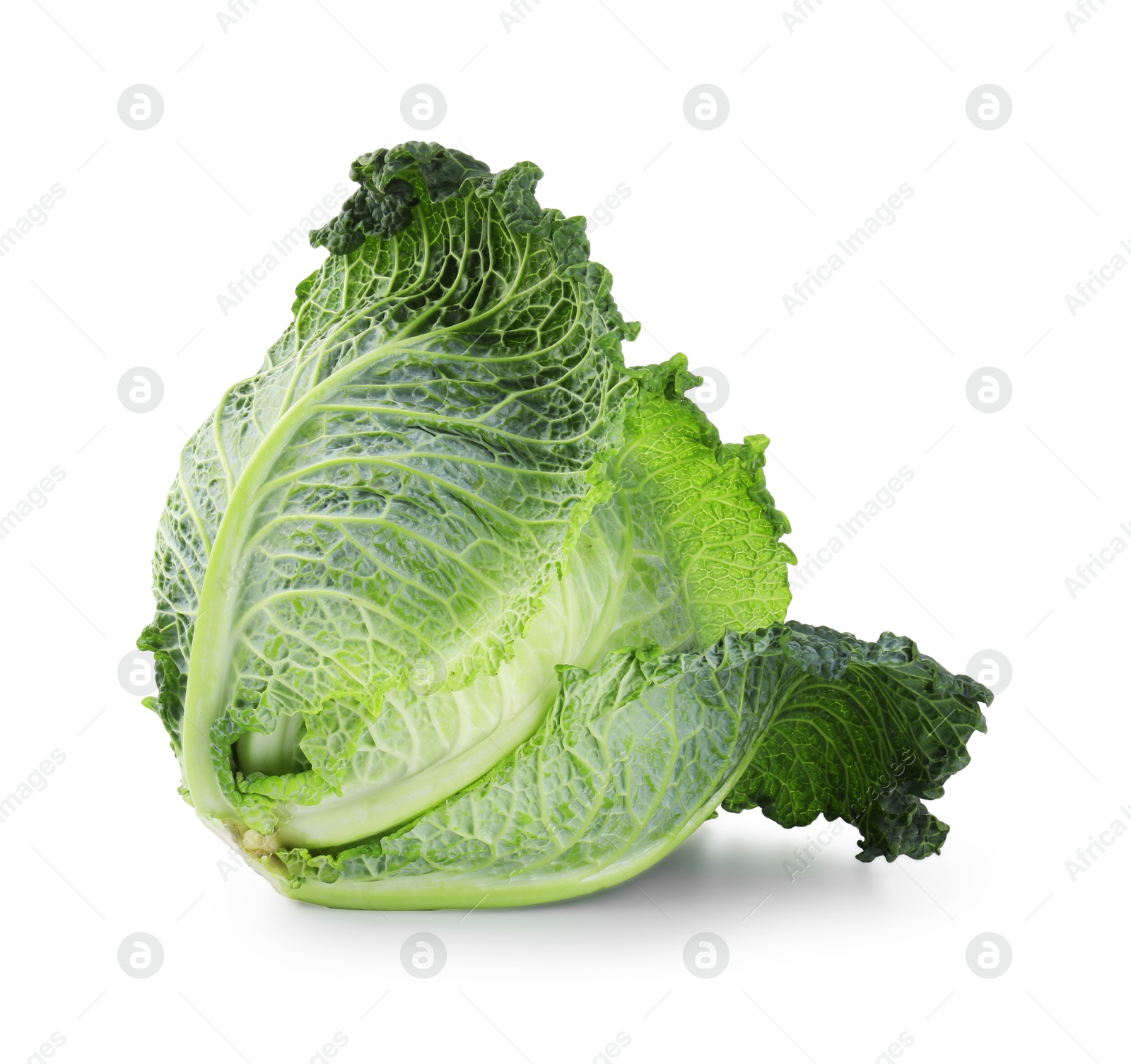 Photo of One fresh Savoy cabbage isolated on white