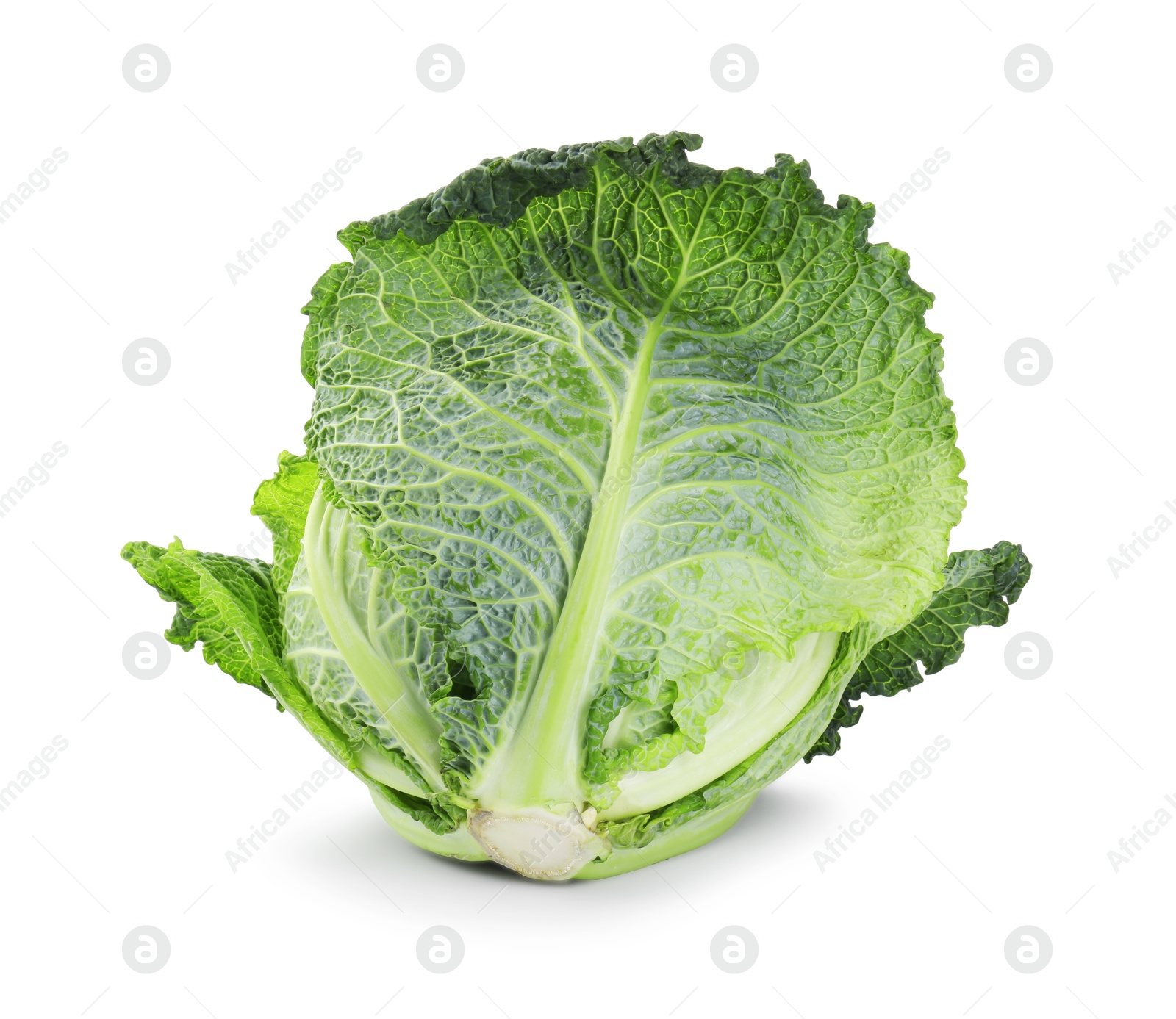 Photo of One fresh Savoy cabbage isolated on white