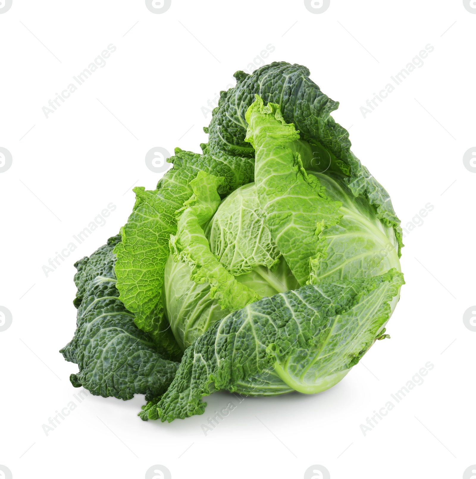 Photo of One fresh Savoy cabbage isolated on white