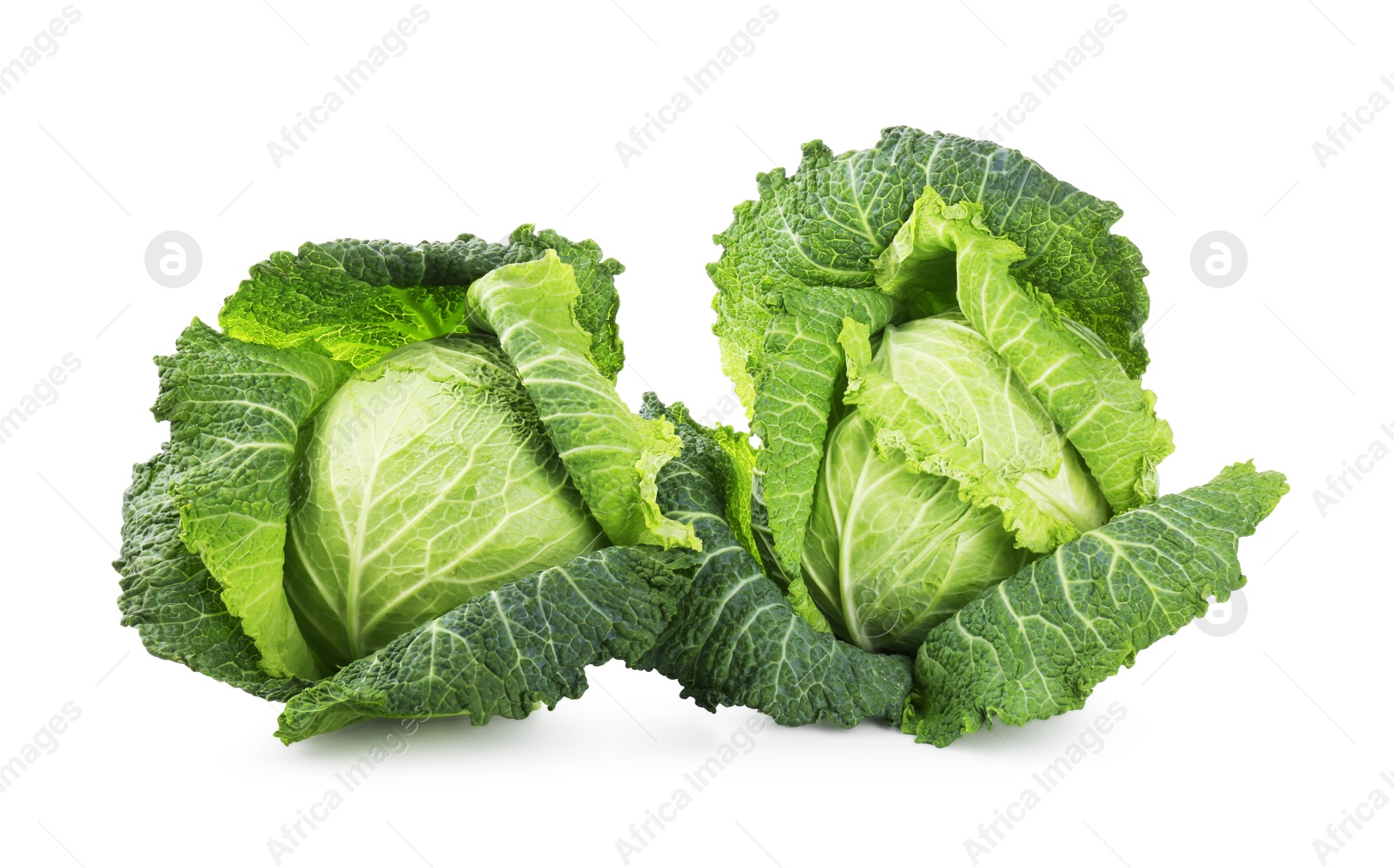 Photo of Fresh ripe Savoy cabbages isolated on white