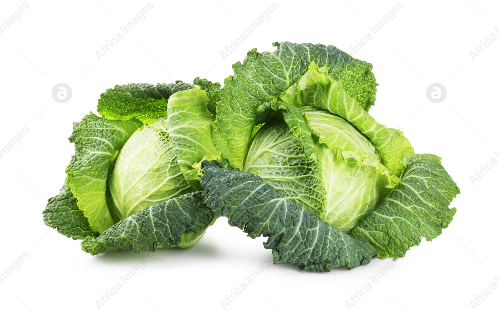 Photo of Fresh ripe Savoy cabbages isolated on white