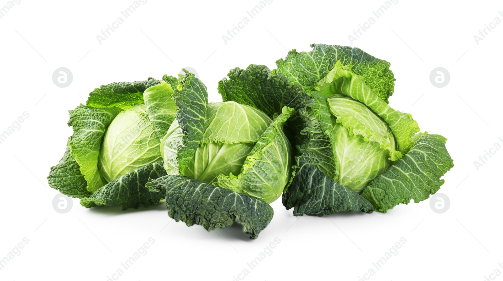 Photo of Fresh ripe Savoy cabbages isolated on white